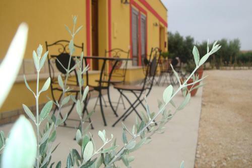L'agave B&B Trapani Garden Paradise