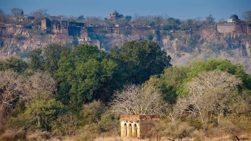 Hotel Ranthambore Mahal