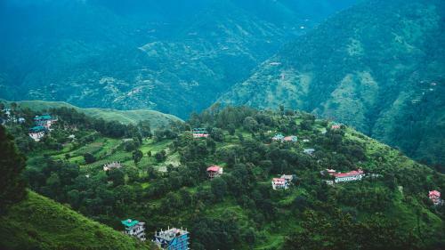 Buransh Homestay