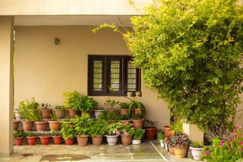 Apartamento Merlin Grove Suites Simla