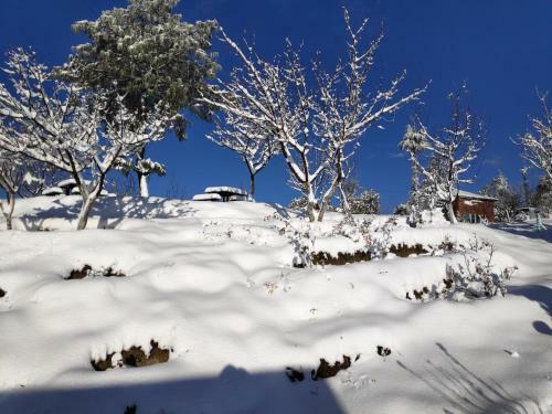 Hotel Cedar Snow View Resorts