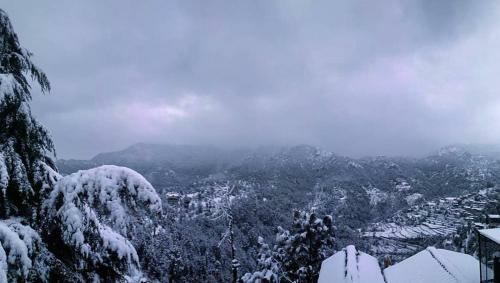 Village View Homestay Shimla