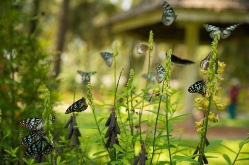 Hotel Sitaram Beach Retreat
