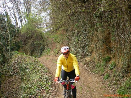 Agroturismo Tenuta Fortelongo