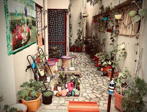 Enjoy! Home Of Hari Pari