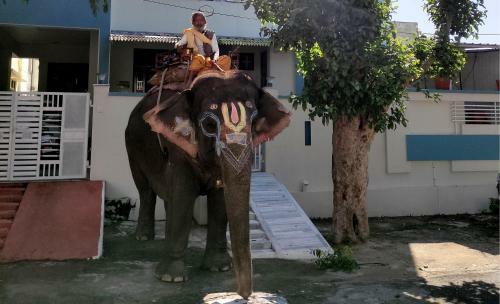 Prakash Ji's Homestay