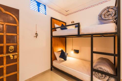 Albergue Shalom Backpackers Udaipur