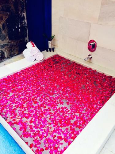 Hotel Ramee Royal Resorts & Spa Udaipur