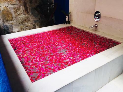 Hotel Ramee Royal Resorts & Spa Udaipur