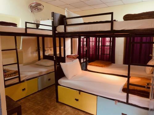 The Funky Monkey Hostel