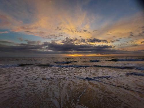 Albergue Verve Stays Varkala
