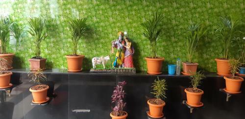 Hotel Sandhya Grand A/c