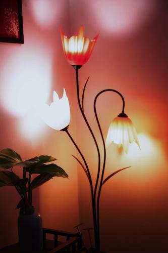 Hotel Angel's Nri Residency
