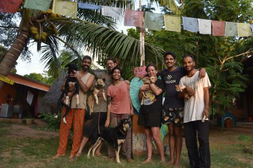 Albergue Woodpacker