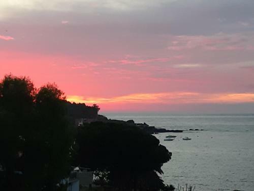 B&B Sea Terrace
