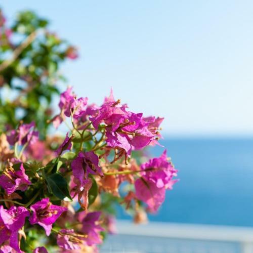 Bed & Breakfast Made In Sicily Santa Tecla