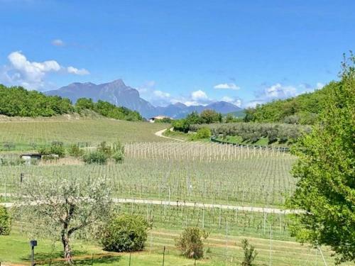 Bed & Breakfast C� Vettor