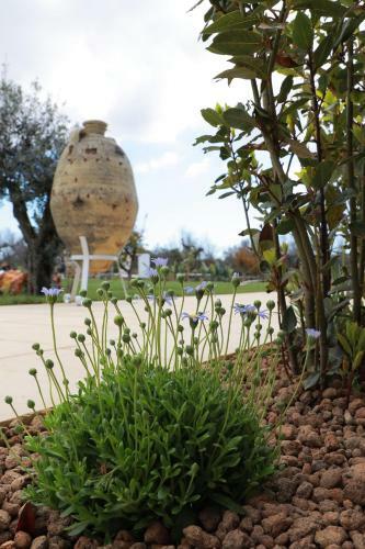 Tenuta Cesarina