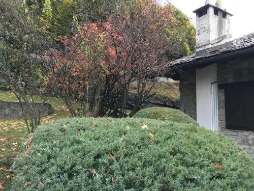Apartamento Appartamento Chalet Montagna