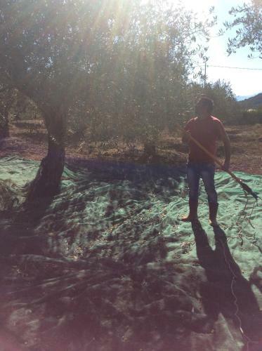 Agroturismo Don Ballore