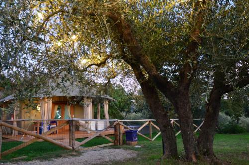 E-glamping/blue Saphir Tent