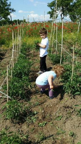Agroturismo Rupe Delle Sorbe