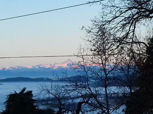 Beautiful Apartment In Asti With Garden