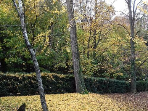 Beautiful Apartment In Asti With Garden