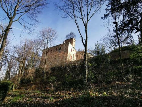 Beautiful Apartment In Asti With Garden