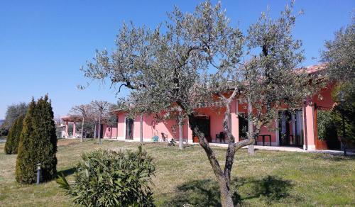 Apartamento Agriturismo Melograno D'oro