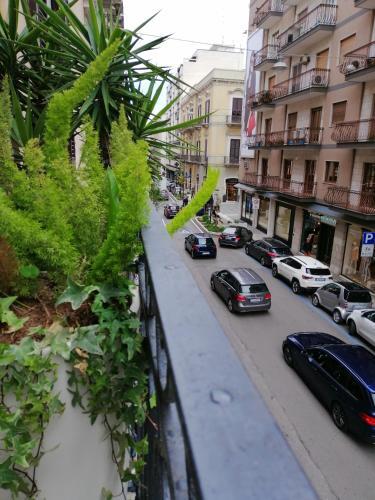 Bed & Breakfast Bari 102