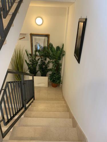 Esperanto B&B