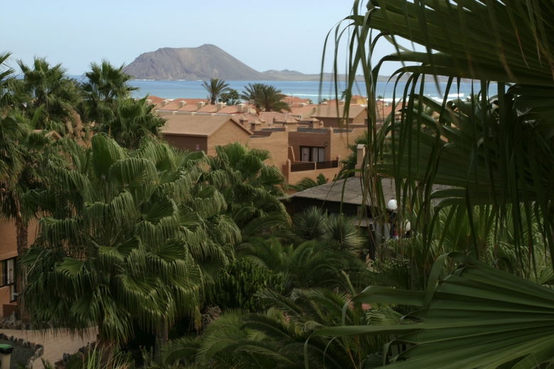 Apartamentos Oasis Duna