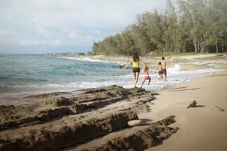 Hotel Turtle Bay Resort