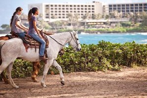 Hotel Turtle Bay Resort