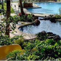 Hotel Turtle Bay Resort