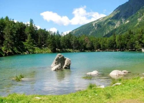 Apartment With One Bedroom In Bionaz