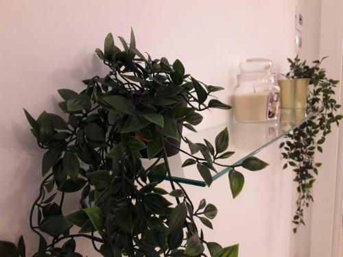 Apartamento Ely Home