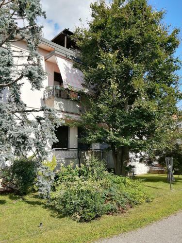 Bed & Breakfast Il Nido Della Dani