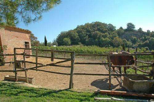 Apartamento Il Leccio