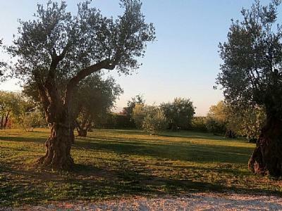 Campagnano Di Roma Villa Sleeps 9 Pool Wifi