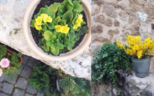 Bed & Breakfast Le Pagliare Del Gran Sasso