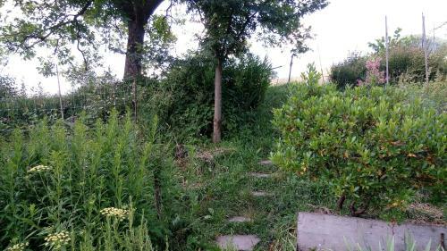 Agroturismo Il Casale Del Vento