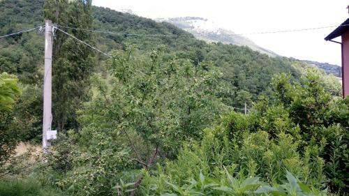 Agroturismo Il Casale Del Vento