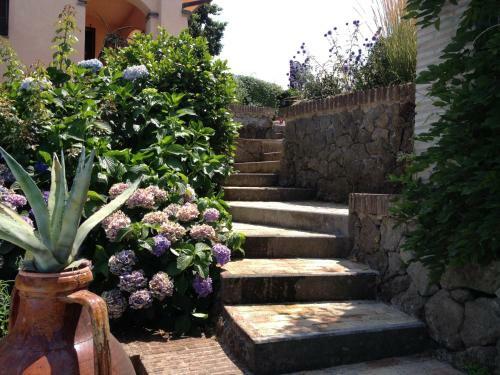 Villa Olivella