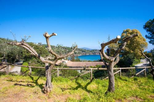 Apartamento Residenza Il Gabbiano