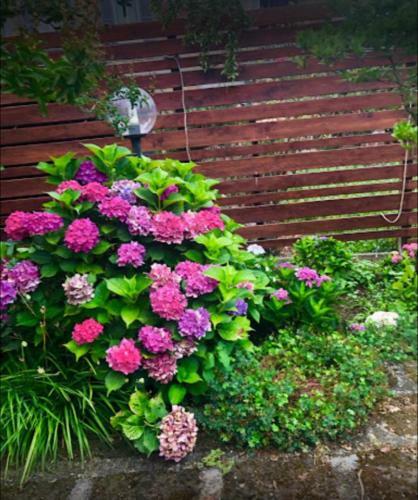 Apartamento Il Giardino Segreto