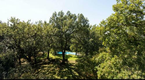 Apartamento Plum Guide - Roman Pastoral