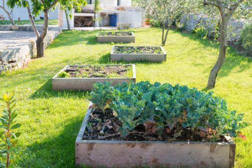 Apartamento L'aia Di Cucumo: La Lamia