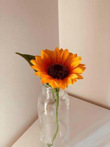 Via Bovio Guest House